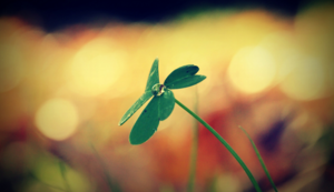 巴黎圣日耳曼取得胜利，一路狂奔晋级半决赛